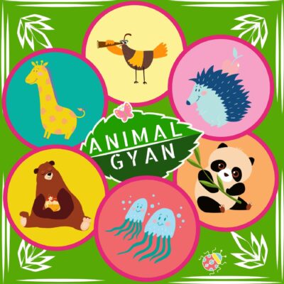 Animal Encyclopedia for Kids