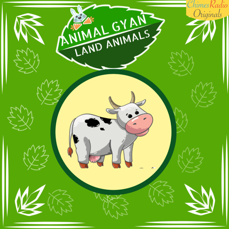 Cow, Animal Encyclopedia For Kids, Land Animals