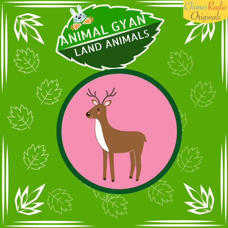 Deer, Animal Encyclopedia For Kids, Land Animals