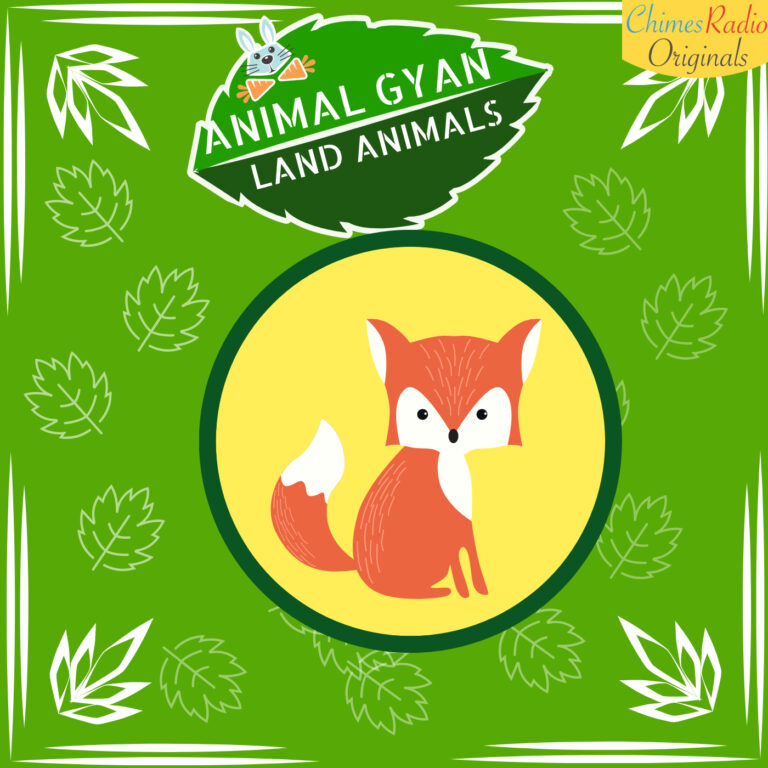 FOX, Animal Encyclopedia For Kids, Land Animals
