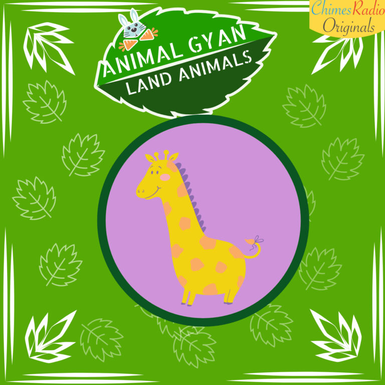 Girrafes, Animal Encyclopedia For Kids, Land Animals