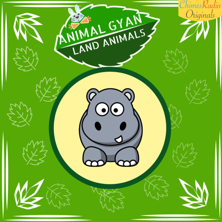 Hippo, Animal Encyclopedia For Kids, Land Animals