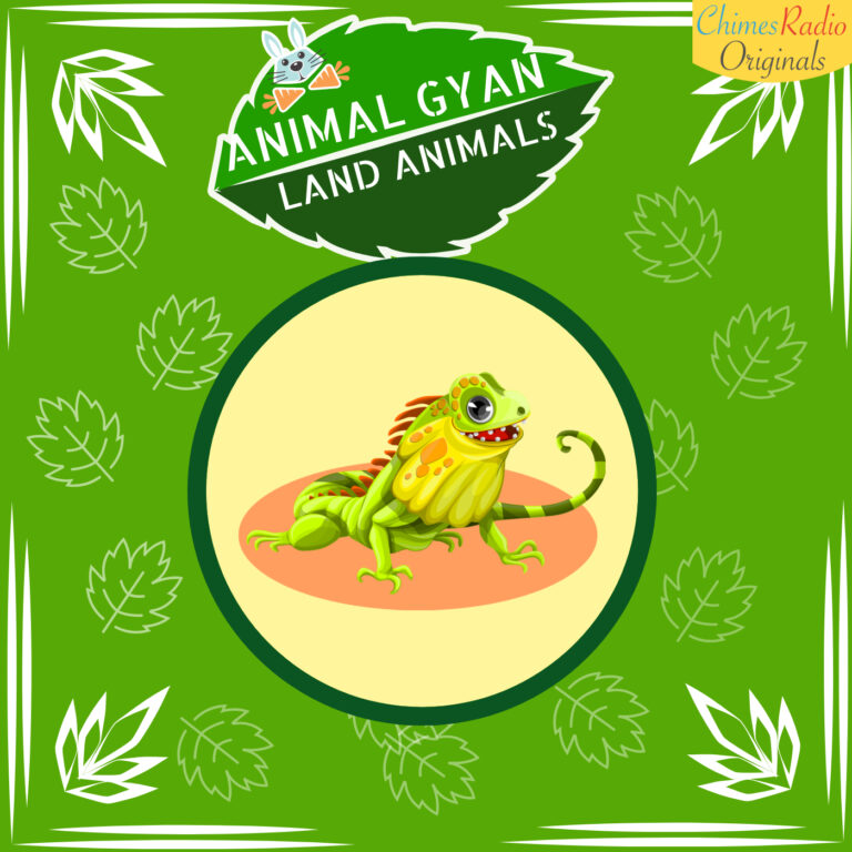 Iguana, Animal Encyclopedia For Kids, Land Animals