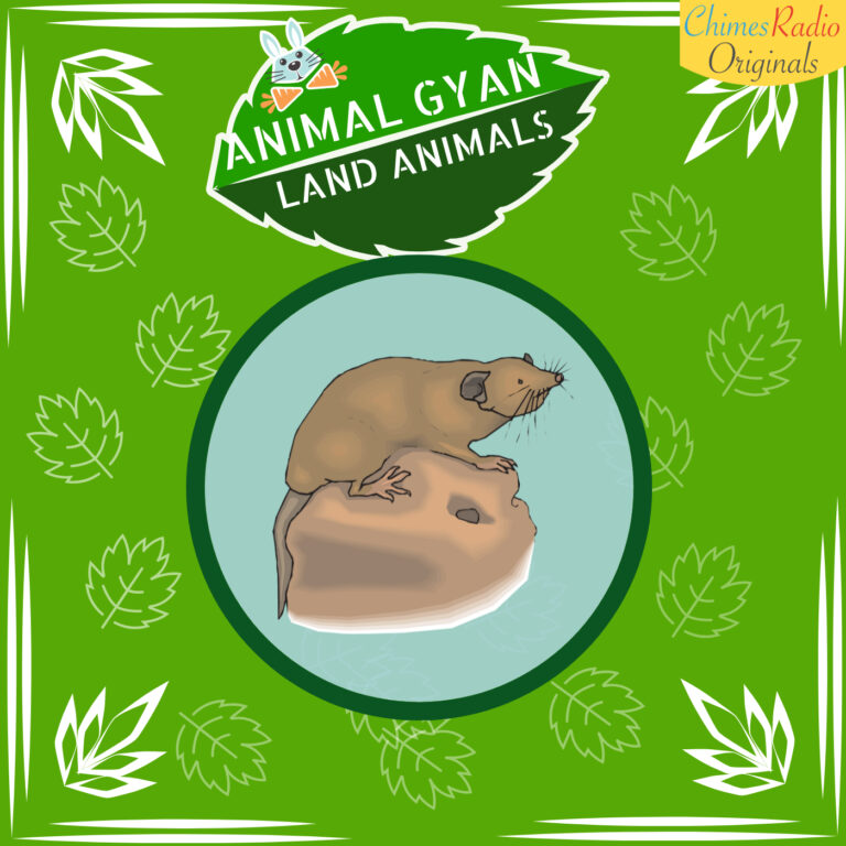 Moles , Animal Encyclopedia For Kids, Land Animals
