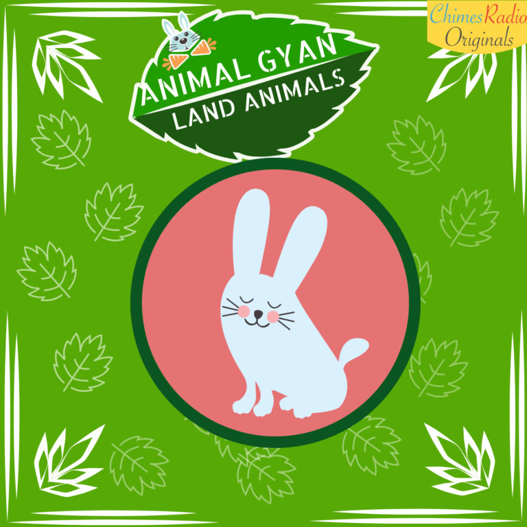 Rabbit, Animal Encyclopedia For Kids, Land Animals