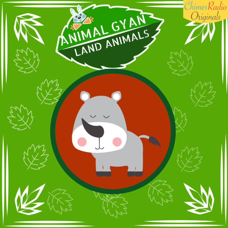 Rhino, Animal Encyclopedia For Kids, Land Animals