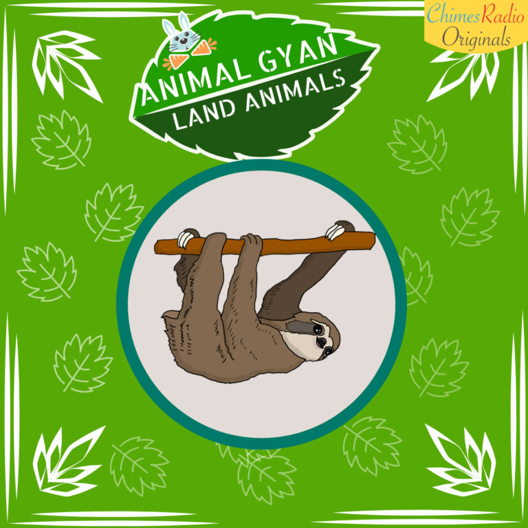 SLOTH, Animal Encyclopedia For Kids, Land Animals