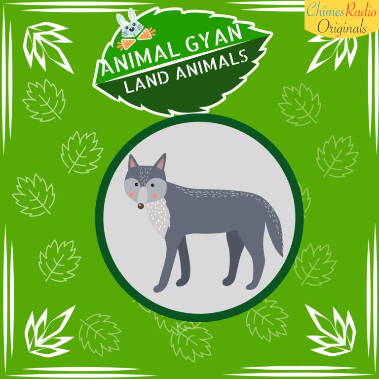 Wolves, Animal Encyclopedia For Kids, Land Animals