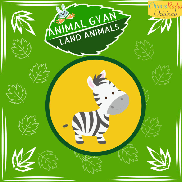 Zebra, Animal Encyclopedia For Kids, Land Animals