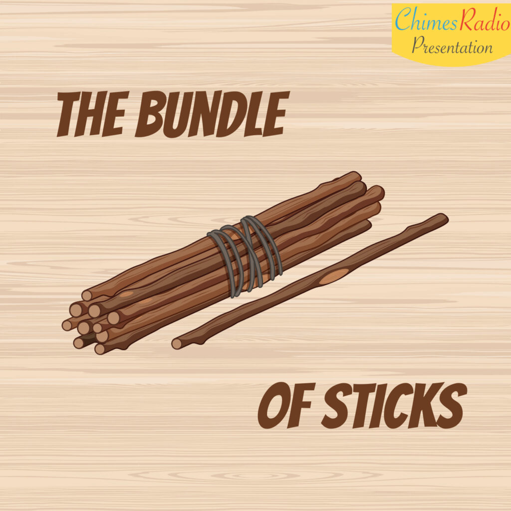 bundle of sticks on fire